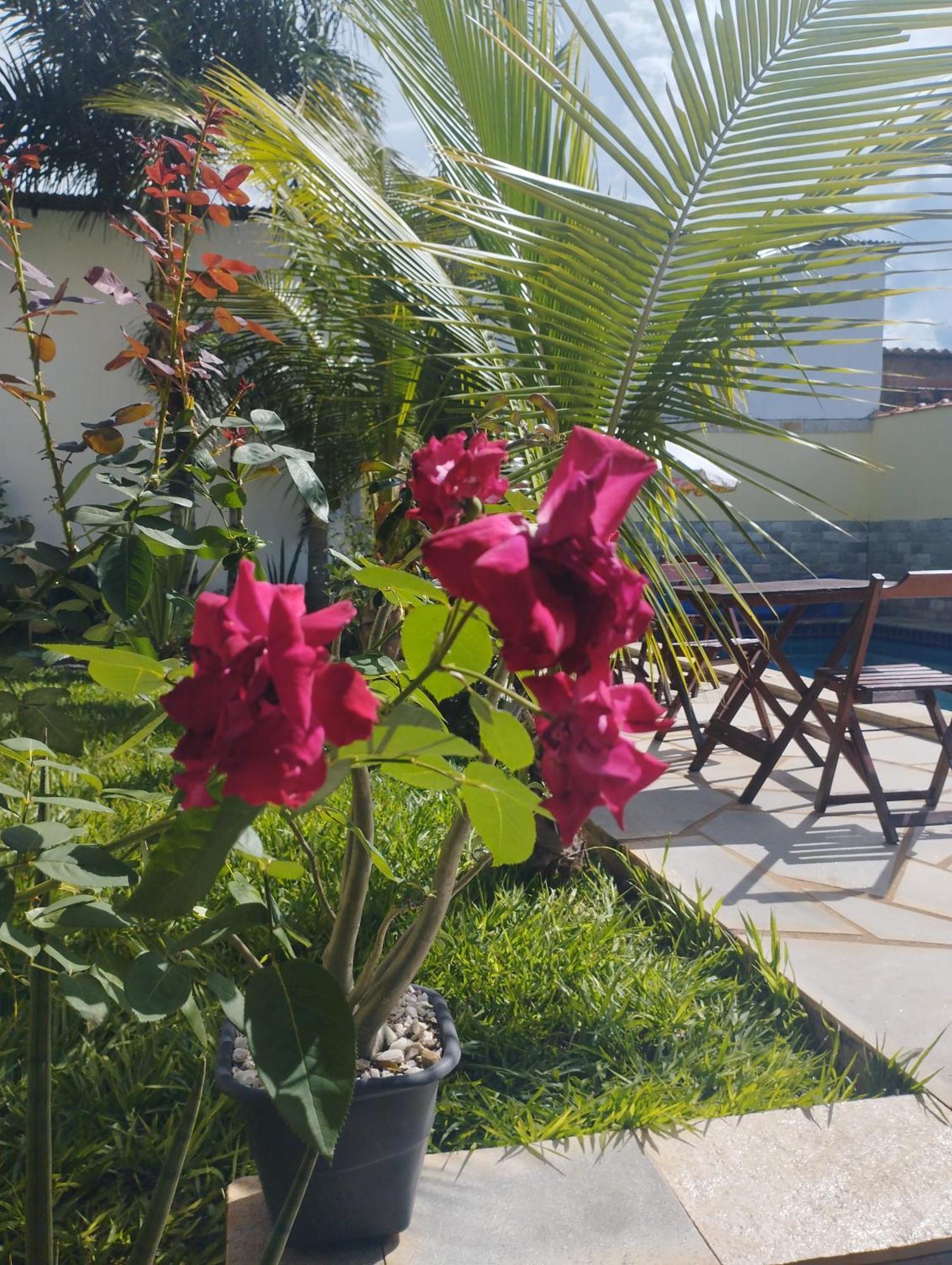 Pirenópolis Casa Pirineusヴィラ エクステリア 写真